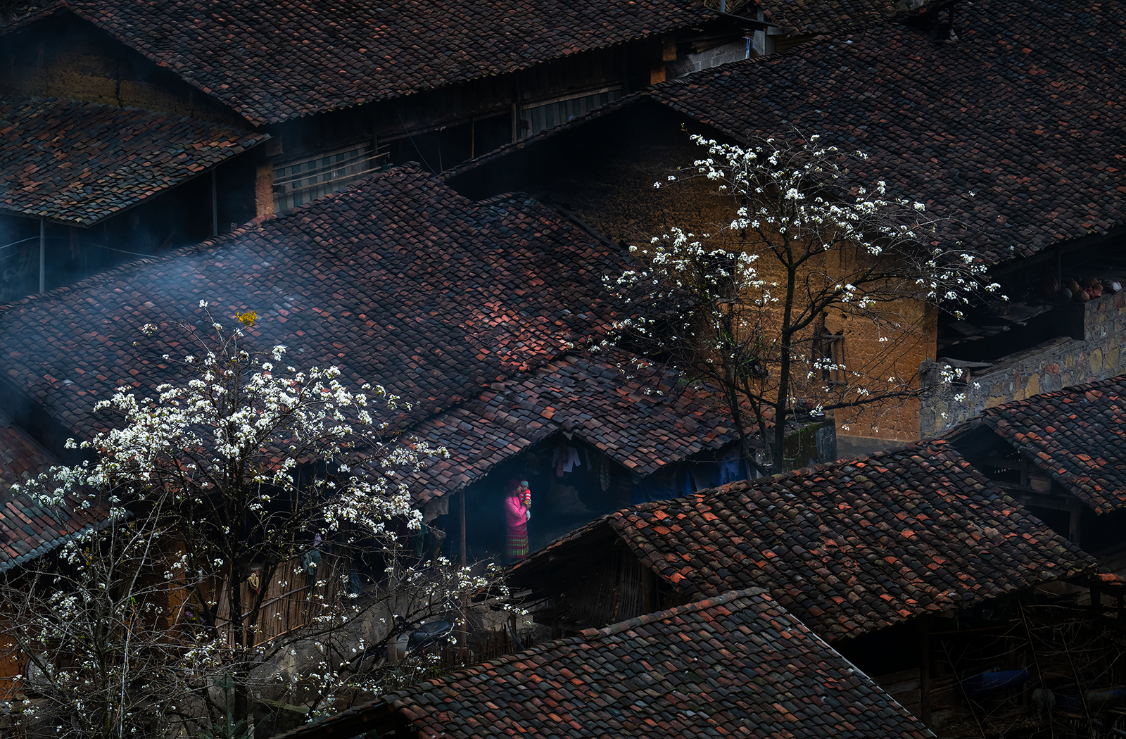 Tình xuân - Tác phẩm đạt top 50 trong cuộc thi Vietnam Snap by Sony